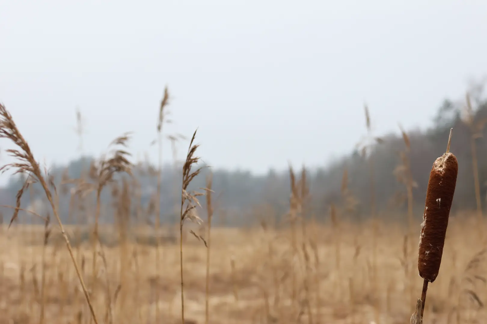 Experter på ventilationsrengöring i Huddinge